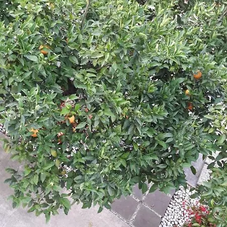 Inn Locanda Ermes Capaccio